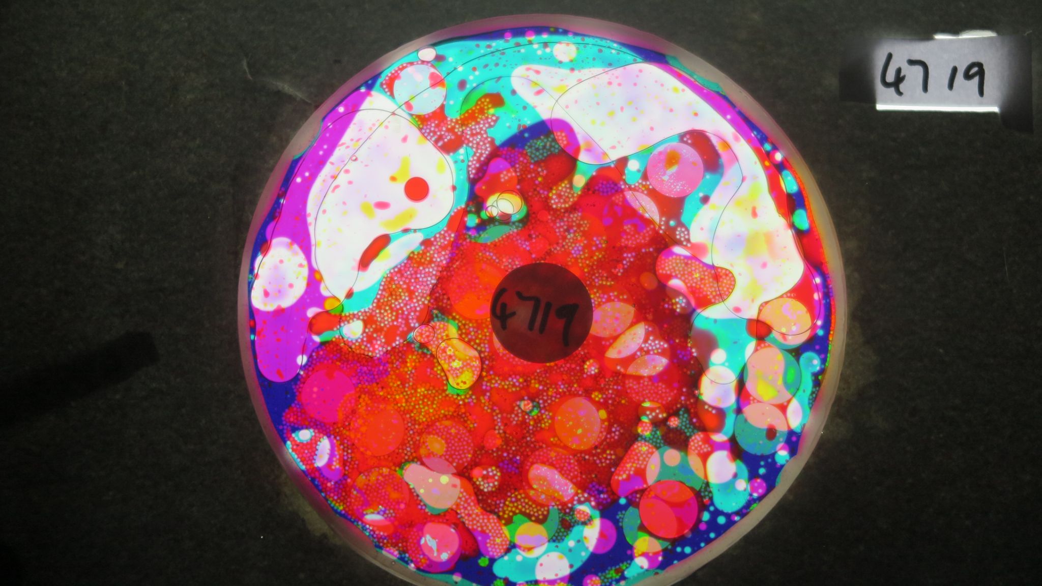 BV4719 bubble vision oil wheel